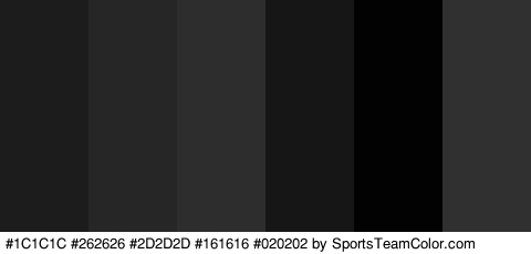 #1C1C1C #262626 #2D2D2D #161616 #020202 #303030 Colors