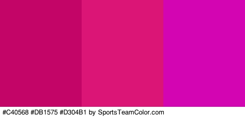 #C40568 #DB1575 #D304B1 Colors