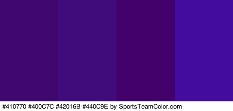 #410770 #400C7C #42016B #440C9E Colors