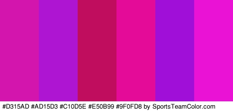 #D315AD #AD15D3 #C10D5E #E50B99 #9F0FD8 #EA12D5 Colors