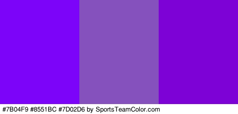 #7B04F9 #8551BC #7D02D6 Colors