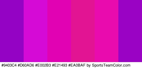 #9403C4 #D60AD6 #E002B3 #E21493 #EA0BAF #9A03C4 Colors