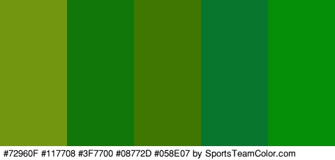 #72960F #117708 #3F7700 #08772D #058E07 Colors