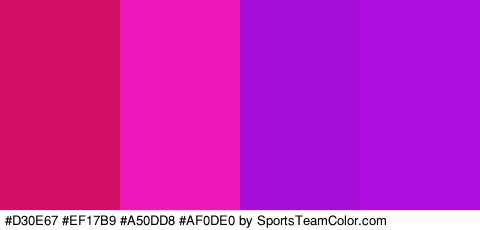 #D30E67 #EF17B9 #A50DD8 #AF0DE0 Colors