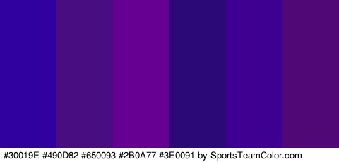 #30019E #490D82 #650093 #2B0A77 #3E0091 #4F0875 Colors