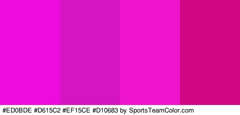 #ED0BDE #D615C2 #EF15CE #D10683 Colors