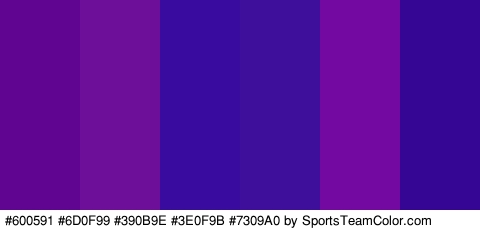 #600591 #6D0F99 #390B9E #3E0F9B #7309A0 #350593 Colors