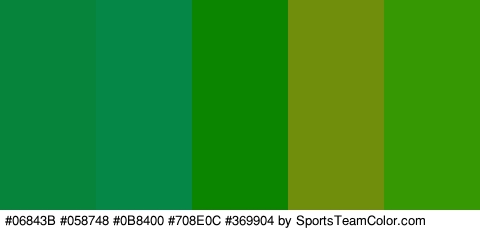 #06843B #058748 #0B8400 #708E0C #369904 Colors