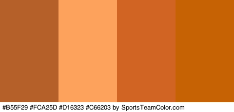 #B55F29 #FCA25D #D16323 #C66203 Colors