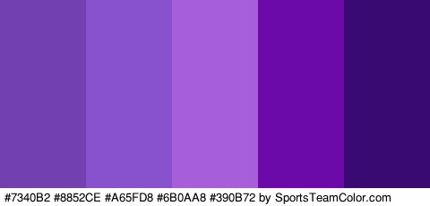 #7340B2 #8852CE #A65FD8 #6B0AA8 #390B72 Colors