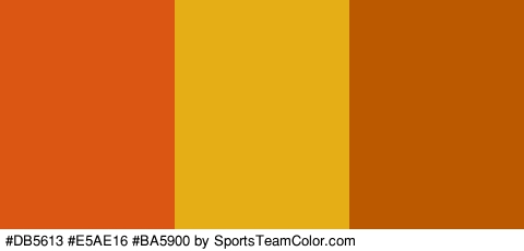 #DB5613 #E5AE16 #BA5900 Colors