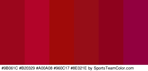 #9B061C #B20329 #A00A08 #960C17 #8E021E #930040 Colors