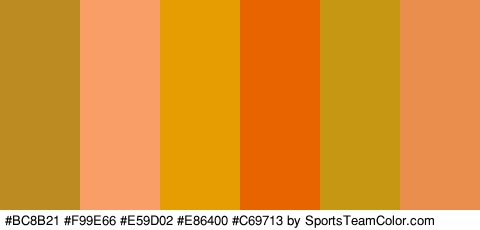 #BC8B21 #F99E66 #E59D02 #E86400 #C69713 #EA8E4D Colors