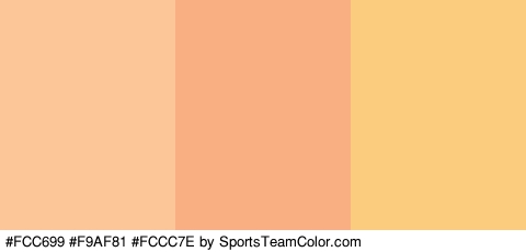 #FCC699 #F9AF81 #FCCC7E Colors