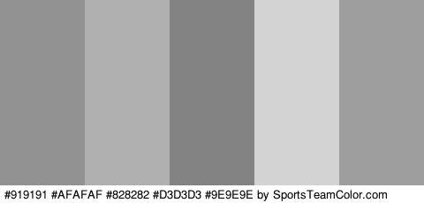 #919191 #AFAFAF #828282 #D3D3D3 #9E9E9E Colors