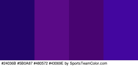 #24036B #5B0A87 #480572 #43069E Colors