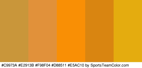 #C9973A #E2913B #F98F04 #D88511 #E5AC10 Colors