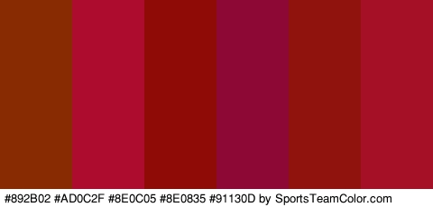 #892B02 #AD0C2F #8E0C05 #8E0835 #91130D #A51026 Colors