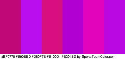 #BF0778 #B90EED #D80F7E #B100D1 #E204BD #BC08E0 Colors