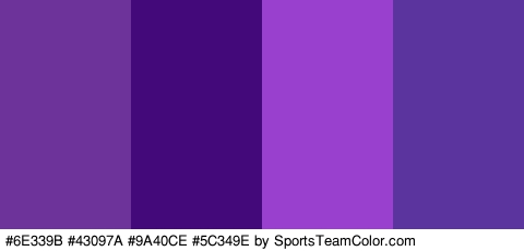 #6E339B #43097A #9A40CE #5C349E Colors