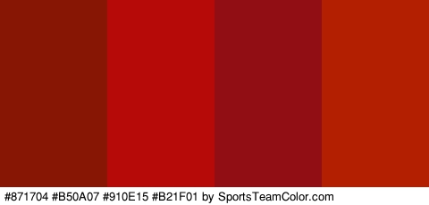 #871704 #B50A07 #910E15 #B21F01 Colors