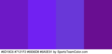 #6D19C6 #7121F2 #6936D8 #6A0E91 Colors