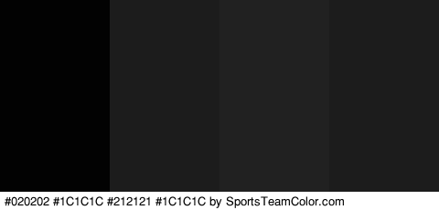 #020202 #1C1C1C #212121 #1C1C1C Colors