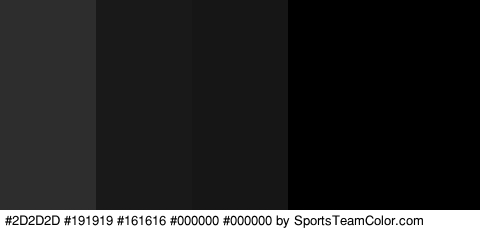 #2D2D2D #191919 #161616 #000000 #000000 Colors