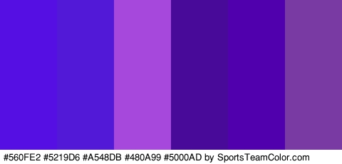 #560FE2 #5219D6 #A548DB #480A99 #5000AD #793AA3 Colors