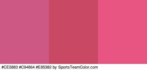 #CE5883 #C94864 #E85382 Colors