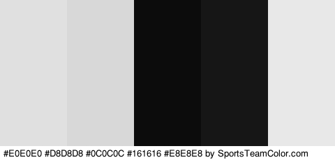 #E0E0E0 #D8D8D8 #0C0C0C #161616 #E8E8E8 Colors