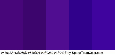 #48067A #3B056D #510D91 #2F0289 #3F049E Colors