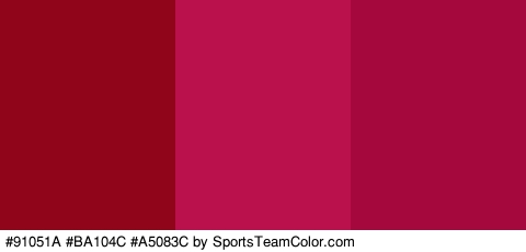 #91051A #BA104C #A5083C Colors