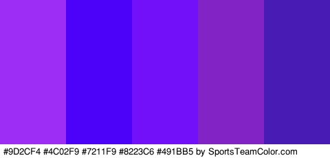 #9D2CF4 #4C02F9 #7211F9 #8223C6 #491BB5 Colors