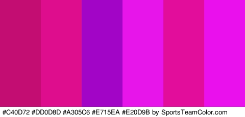 #C40D72 #DD0D8D #A305C6 #E715EA #E20D9B #E910ED Colors