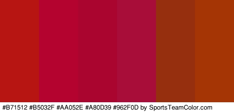 #B71512 #B5032F #AA052E #A80D39 #962F0D #A53504 Colors