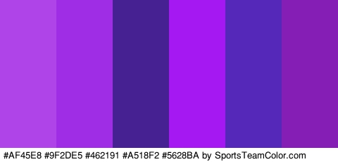 #AF45E8 #9F2DE5 #462191 #A518F2 #5628BA #851EB5 Colors