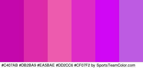 #C407AB #DB2BA9 #EA5BAE #DD2CC6 #CF07F2 #BD5CE0 Colors