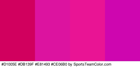 #D1005E #DB139F #E81493 #CE06B0 Colors