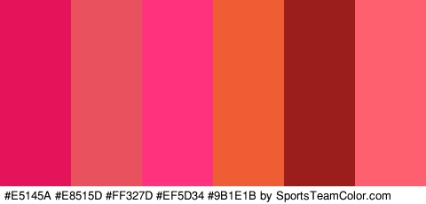 #E5145A #E8515D #FF327D #EF5D34 #9B1E1B #FF6070 Colors