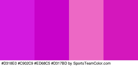 #D318E0 #C902C9 #ED68C5 #D317BD Colors