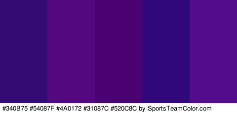 #340B75 #54087F #4A0172 #31087C #520C8C Colors