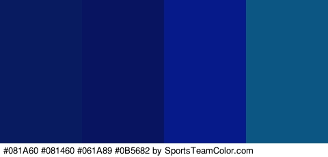 #081A60 #081460 #061A89 #0B5682 Colors