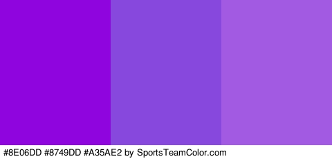 #8E06DD #8749DD #A35AE2 Colors