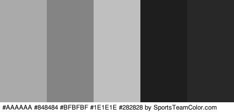 #AAAAAA #848484 #BFBFBF #1E1E1E #282828 Colors