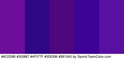 #6C0D9B #300887 #4F077F #3D0396 #5810A0 Colors