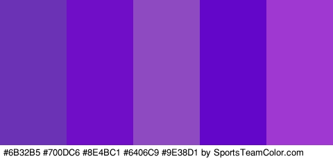 #6B32B5 #700DC6 #8E4BC1 #6406C9 #9E38D1 Colors