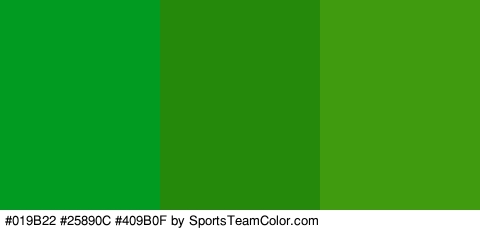 #019B22 #25890C #409B0F Colors