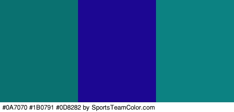 #0A7070 #1B0791 #0D8282 Colors