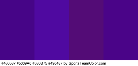 #460587 #5009A0 #530B75 #490487 Colors